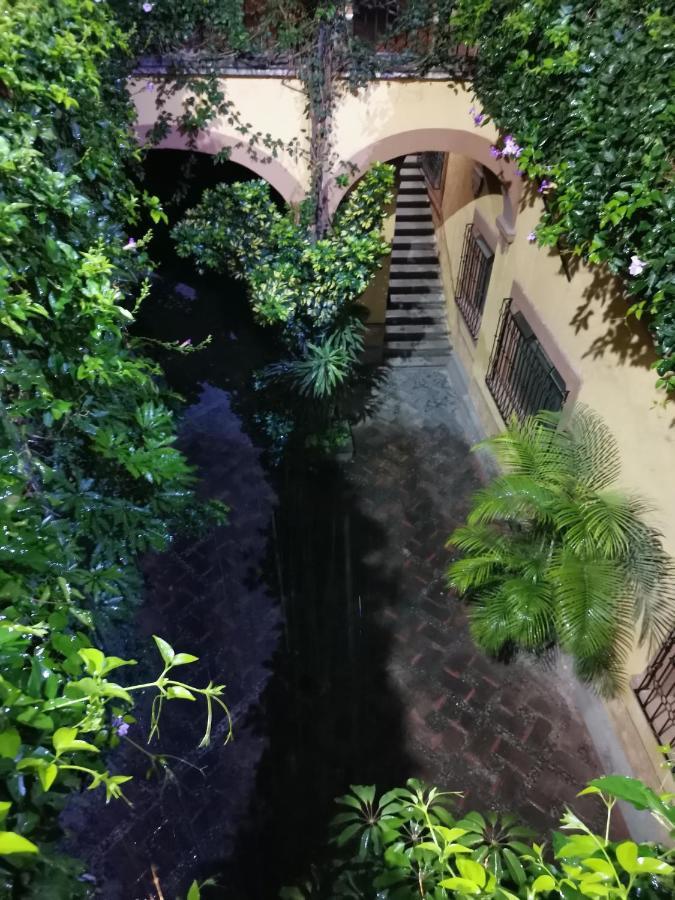 Lele Downtown Querétaro